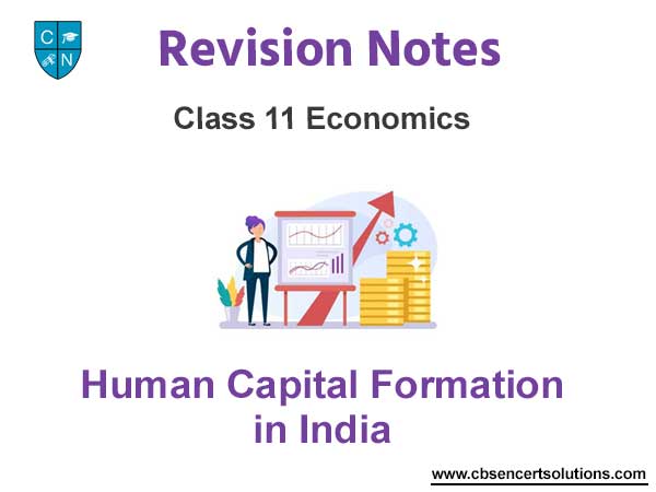 Human Capital Formation in India Class 11 Economics