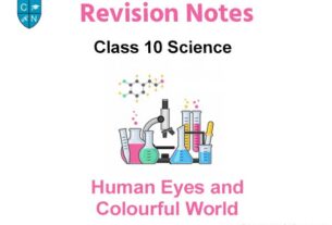 Human Eyes and Colourful World Class 10 Science
