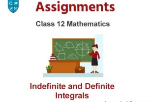 Class 12 Mathematics Indefinite and Definite Integrals Assignments