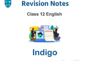Indigo summary Class 12 English