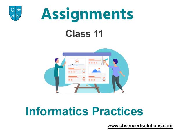 Class 11 Informatics Practices Assignments