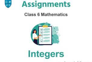 Class 6 Mathematics Integers Assignments