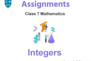 Class 7 Mathematics Integers Assignments