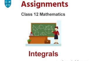Class 12 Mathematics Integrals Assignments
