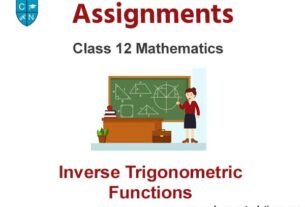 Class 12 Mathematics Inverse Trigonometric Functions Assignments