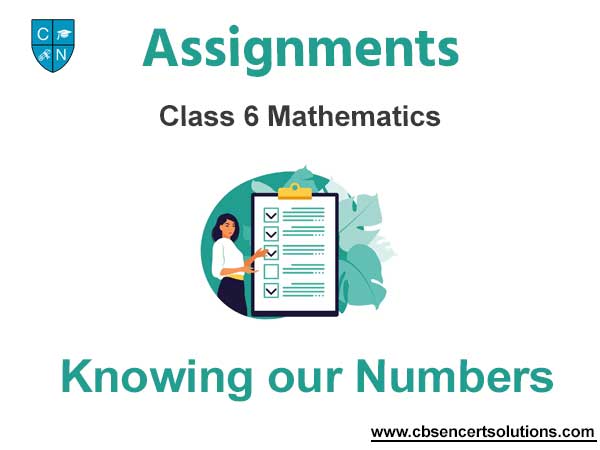 Class 6 Mathematics Knowing our Numbers Assignments