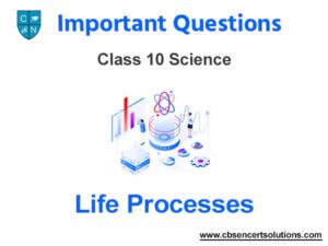 case study life processes