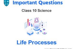 Case Study Chapter 6 Life Processes