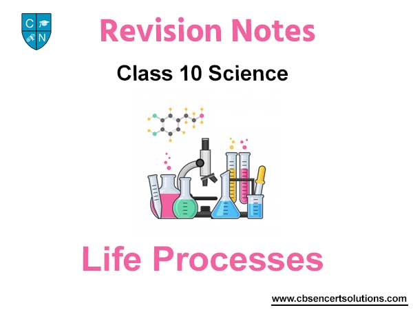 Life Processes Class 10 Science