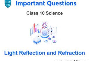 Case Study Chapter 10 Light Reflection and Refraction