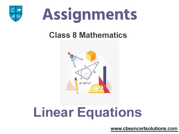 Class 8 Mathematics Linear Equations Assignments