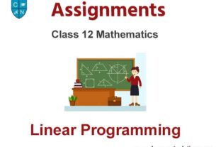 Class 12 Mathematics Linear Programming Assignments
