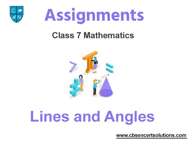 Class 7 Mathematics Lines and Angles Assignments