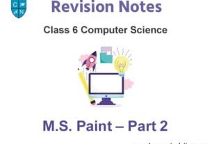 MS Paint – Part 2 Class 6 Computer Science