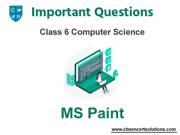 MS Paint Class 6 Computer Science Important Questions