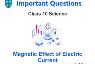 Case Study Chapter 13 Magnetic Effect of Electric Current