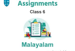 Class 6 Malayalam Assignments
