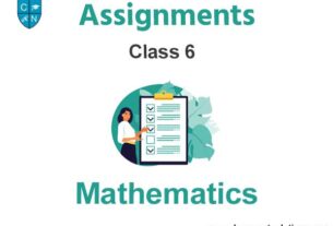 Class 6 Mathematics Assignments