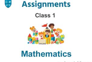 Class 1 Mathematics Assignments