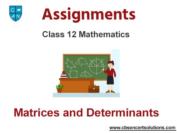Class 12 Mathematics Matrices and Determinants Assignments