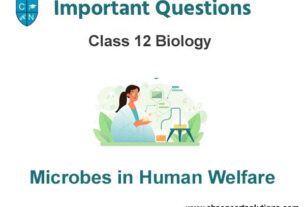Microbes in Human Welfare Class 12 Biology Important Questions