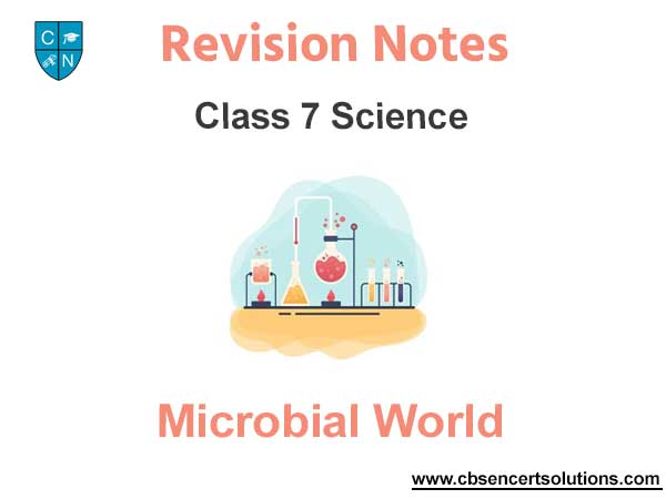 Microbial World Class 7 Science