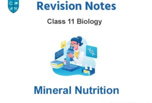 Mineral Nutrition Class 11 Biology