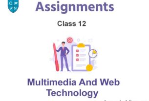 Class 12 Multimedia And Web Technology Assignments