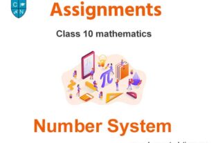 Class 10 Mathematics Number System Assignments