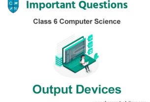 Output Devises Class 6 Computer Science Important Questions