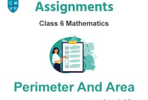 Class 6 Mathematics Perimeter And Area Assignments