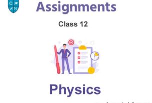 Class 12 Physics Assignments