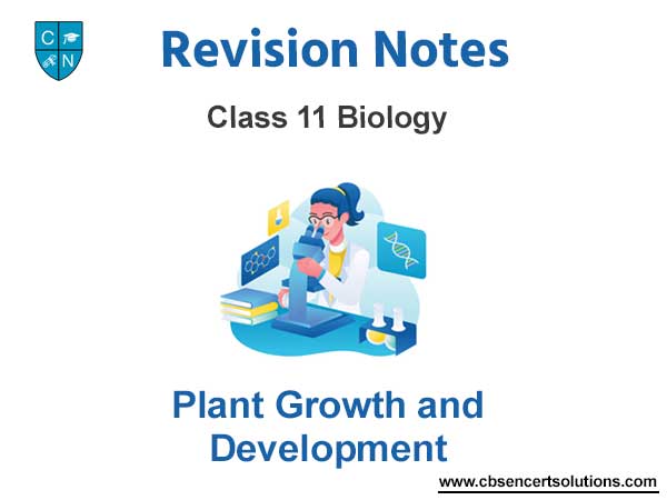 Plant Growth and Development Class 11 Biology