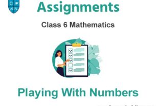 Class 6 Mathematics Playing With Numbers Assignments