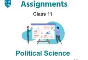 Class 11 Political Science Assignments