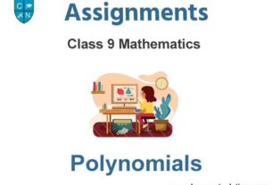 Class 9 Mathematics Polynomials Assignments