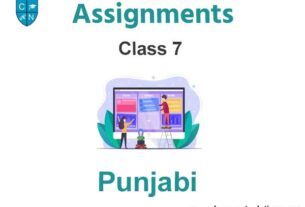 Class 7 Punjabi Assignments