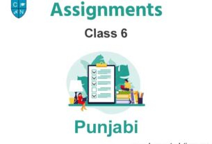 Class 6 Punjabi Assignments