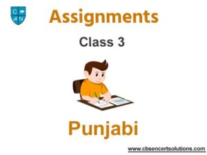 assignment meaning in punjabi language