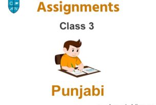 Class 3 Punjabi Assignments