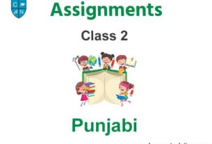 Class 2 Punjabi Assignments