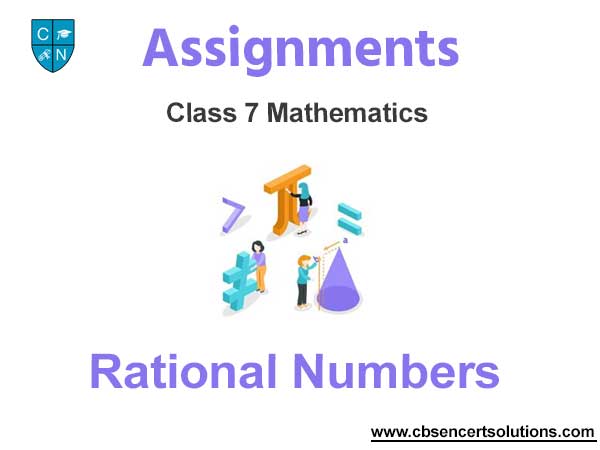 Class 7 Mathematics Rational Numbers Assignments