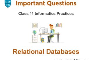 Relational Databases Class 11 Informatics Practices Important Questions