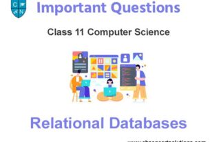 Relational Databases Class 11 Computer Science Important Questions