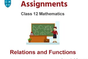 Class 12 Mathematics Relations and Functions Assignments