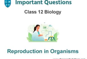 Reproduction In Organisms Class 12 Biology Important Questions