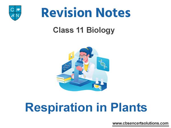 Respiration in Plants Class 11 Biology