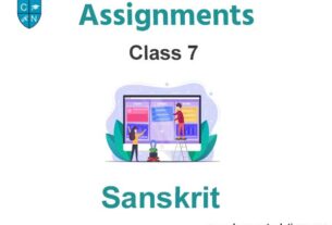 Class 7 Sanskrit Assignments