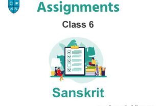 Class 6 Sanskrit Assignments