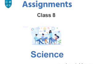 Class 8 Science Assignments